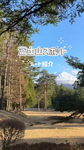東京いいねちゃん👵🏻🤍のTikTok投稿