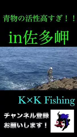 ケンシロウ K×K Fishing🌴のTikTok投稿
