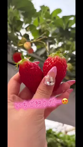 大ふべん者のTikTok投稿