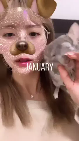 💖のTikTok投稿