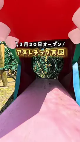 tabi_kids_kansaiのTikTok投稿