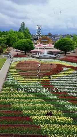 TAKUMAのTikTok投稿