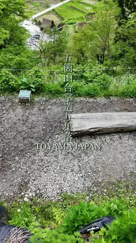 TAKUMAのTikTok投稿