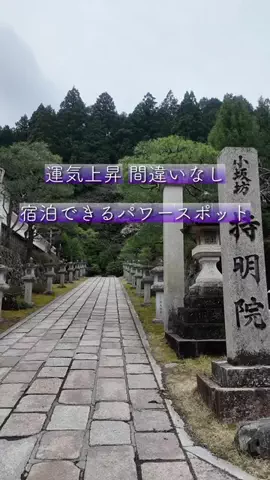 TAKUMAのTikTok投稿