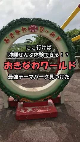 おっきー 🍍沖縄人のTikTok投稿