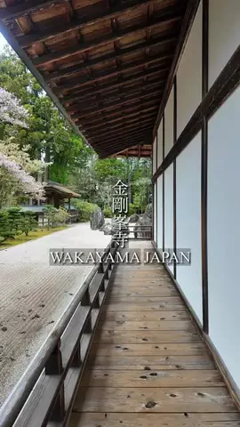 TAKUMAのTikTok投稿