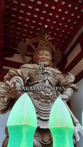 TAKUMAのTikTok投稿