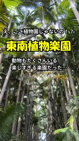 おっきー 🍍沖縄人のTikTok投稿