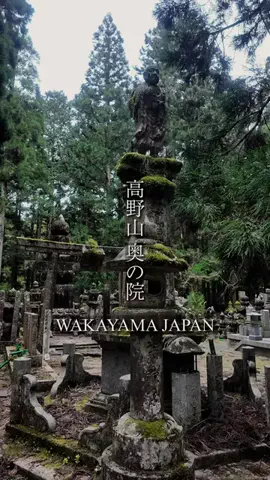 TAKUMAのTikTok投稿
