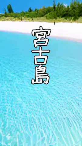 おっきー 🍍沖縄人のTikTok投稿