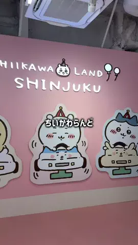 ぱんのTikTok投稿
