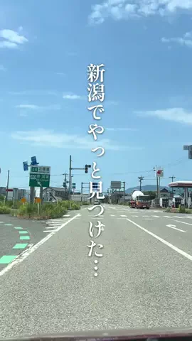 まる│新潟グルメ&カフェのTikTok投稿