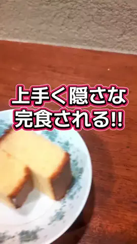 ポチョムキンのTikTok投稿