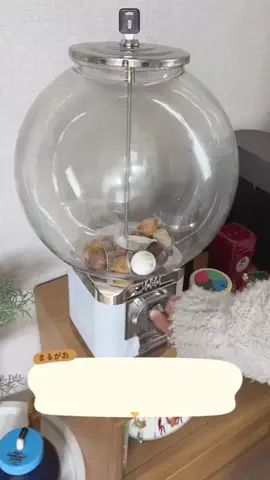 丸顔のTikTok投稿