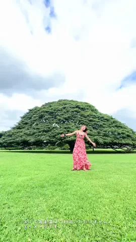 SHUNRIのTikTok投稿