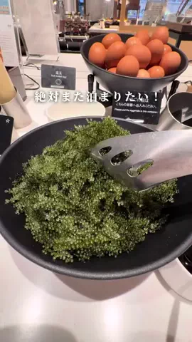 しおり｜女子向けおでかけ・旅行情報🎀のTikTok投稿