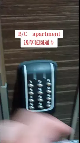 トトのTikTok投稿