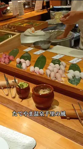 トトのTikTok投稿