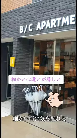 トトのTikTok投稿