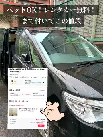 トトのTikTok投稿