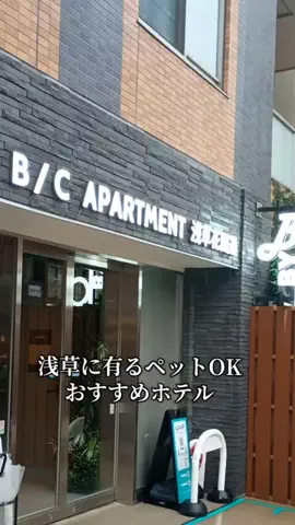 トトのTikTok投稿