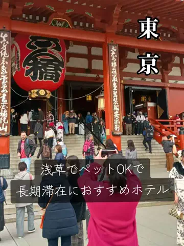 トトのTikTok投稿