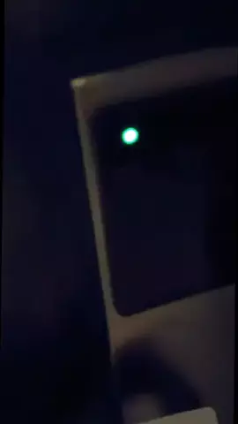 トトのTikTok投稿