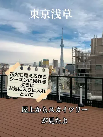 トトのTikTok投稿