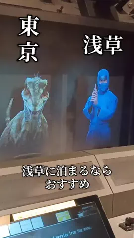 トトのTikTok投稿