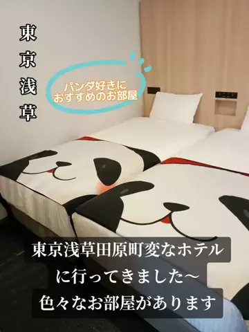 トトのTikTok投稿