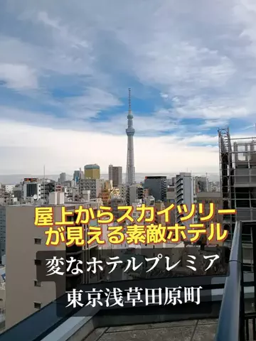 トトのTikTok投稿