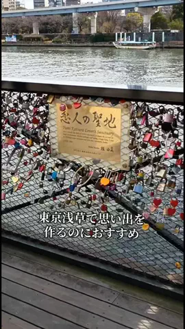 トトのTikTok投稿
