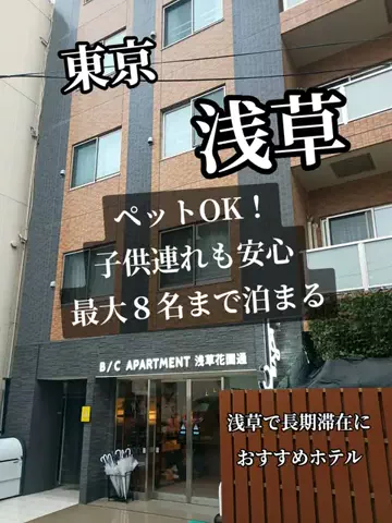 トトのTikTok投稿