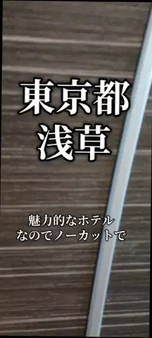 トトのTikTok投稿