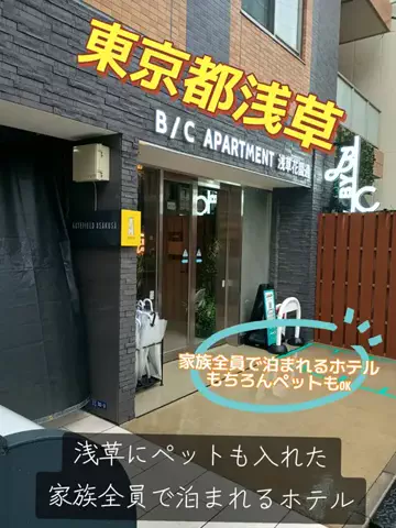 トトのTikTok投稿