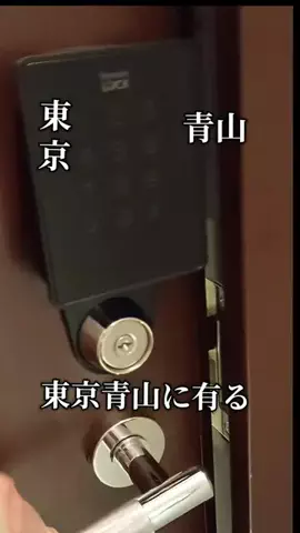 トトのTikTok投稿