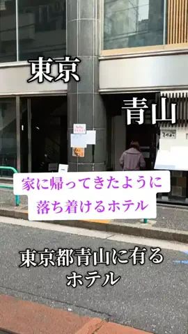 トトのTikTok投稿