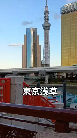 トトのTikTok投稿