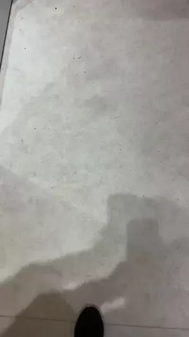 えりたま　あっちゃこちゃの万華鏡のTikTok投稿