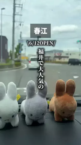 福ちゃんのTikTok投稿