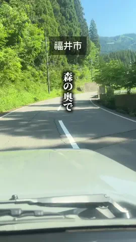 福ちゃんのTikTok投稿
