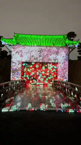 🍡おだんごjourney🍡のTikTok投稿