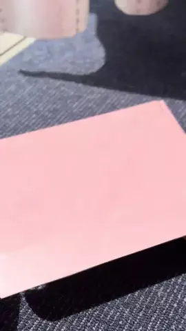 ハルとアキ🐱のTikTok投稿