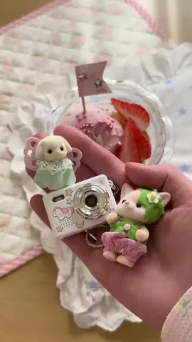 ruiのTikTok PR投稿：かわいいカメラをお迎えしました📸 このカメラはこのア…