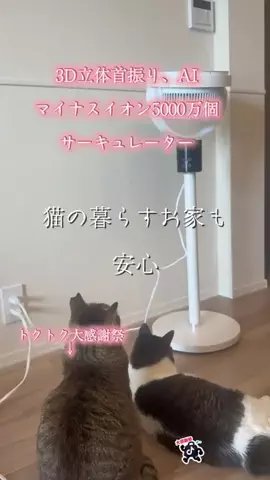 🐈もずあずちゃんねる🐈のTikTok投稿