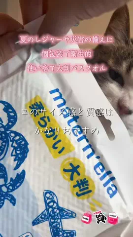 🐈もずあずちゃんねる🐈のTikTok投稿