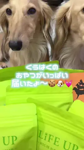 989🐶🐶のTikTok投稿