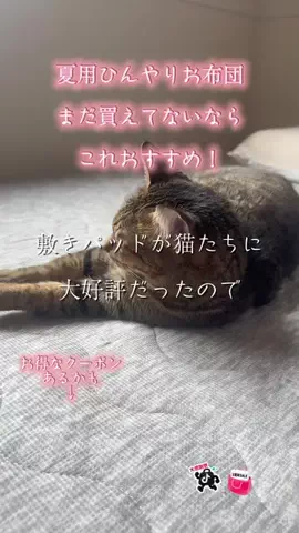 🐈もずあずちゃんねる🐈のTikTok投稿