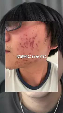 ばけいぬのTikTok投稿