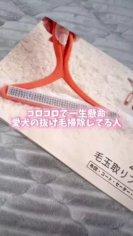 989🐶🐶のTikTok投稿